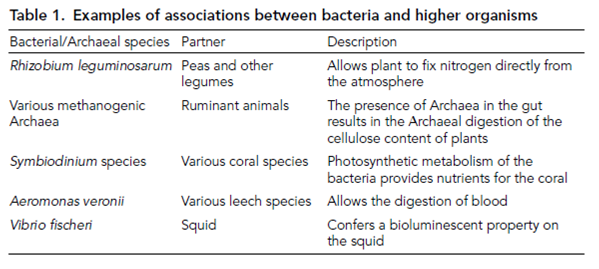 1642_Bacterial commensalism and microbial communities.png
